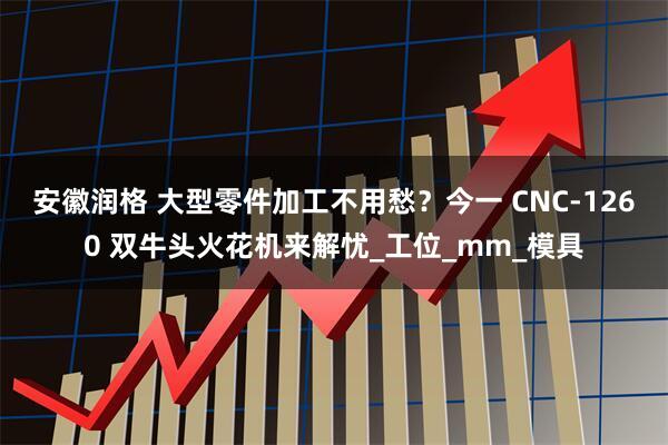 安徽润格 大型零件加工不用愁?今一 CNC-1260 双牛头火花机来解忧_工位_mm_模具