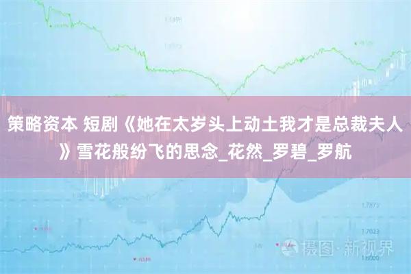 策略资本 短剧《她在太岁头上动土我才是总裁夫人》雪花般纷飞的思念_花然_罗碧_罗航